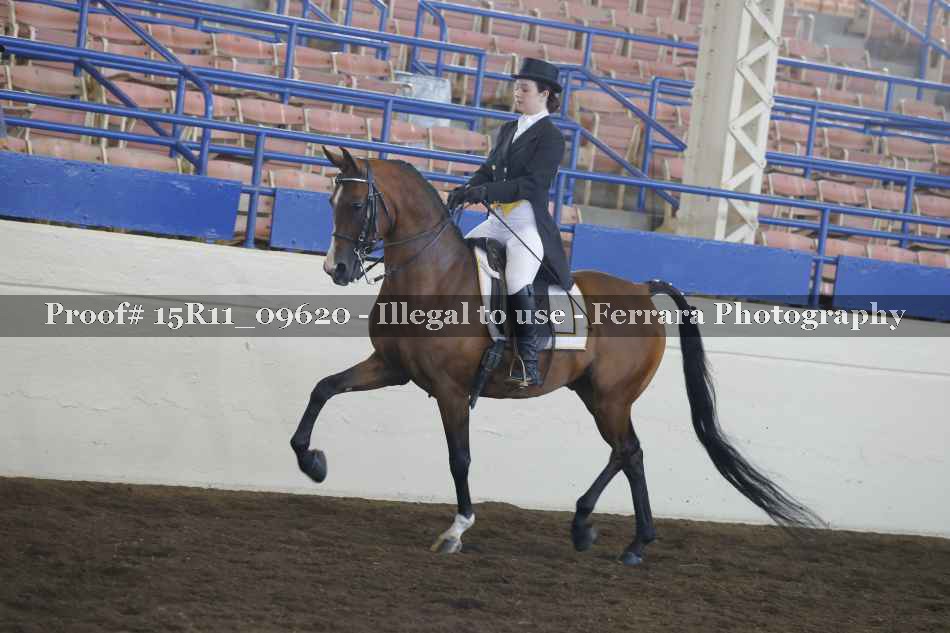 Proof 15R11_09620