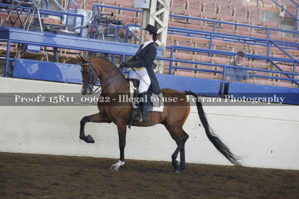 Proof 15R11_09622