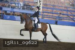 15R11_09622 proof
