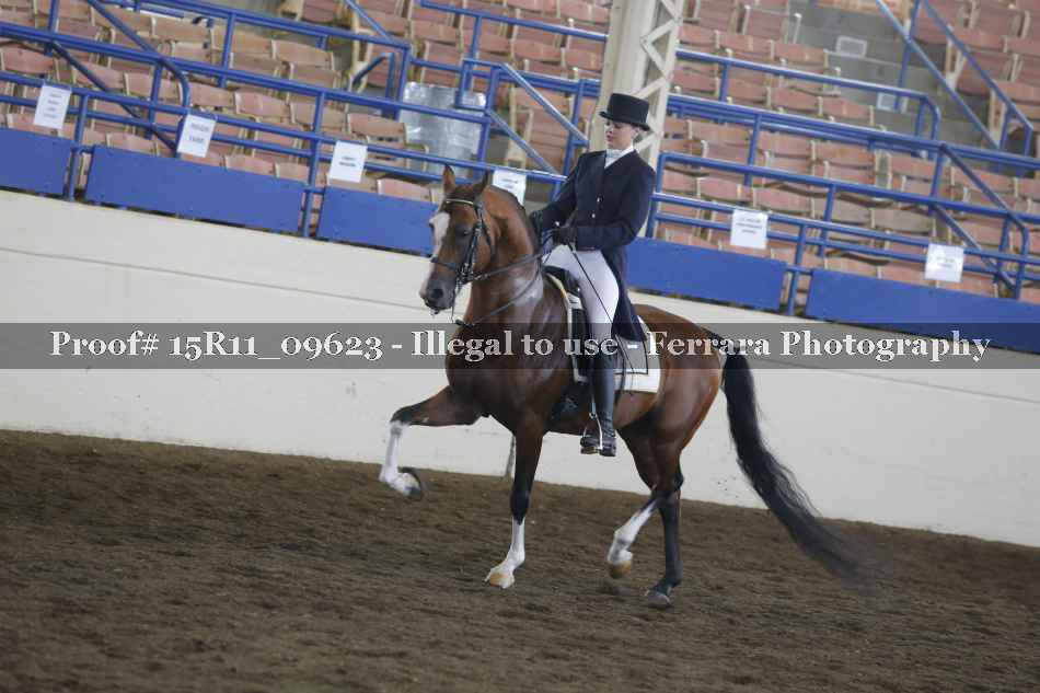 Proof 15R11_09623