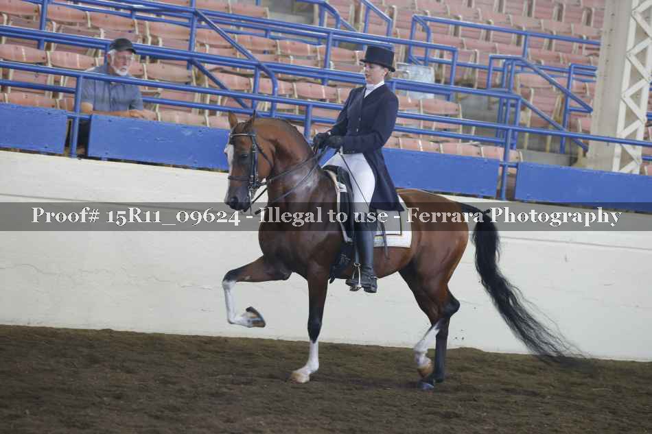Proof 15R11_09624