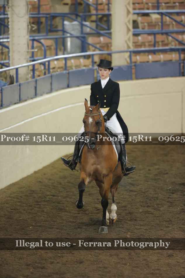 Proof 15R11_09625