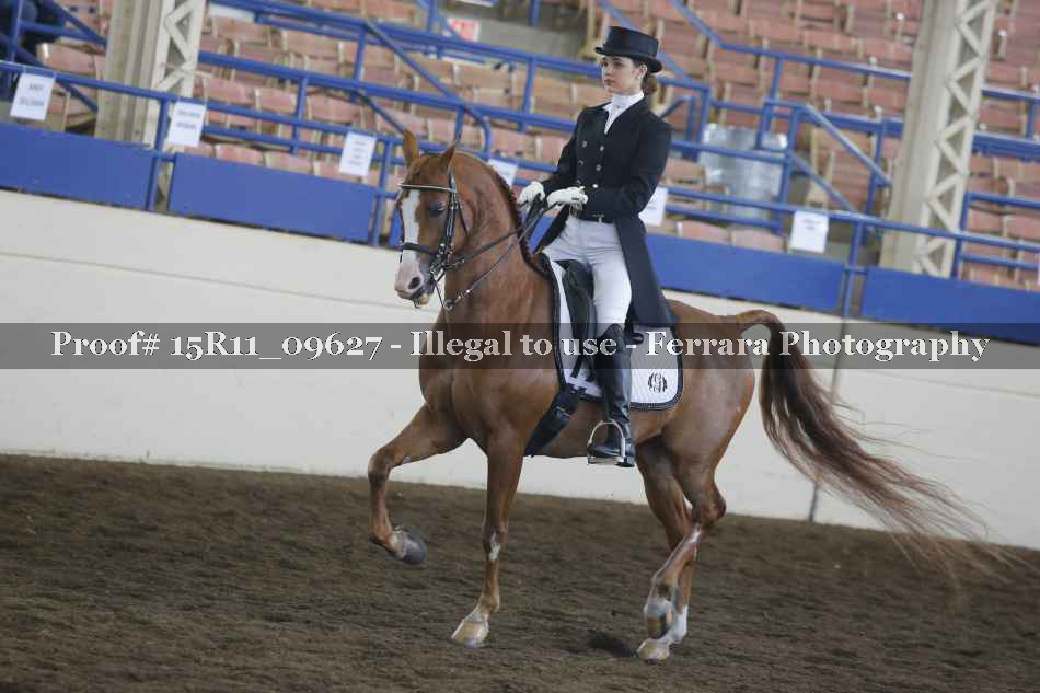 Proof 15R11_09627