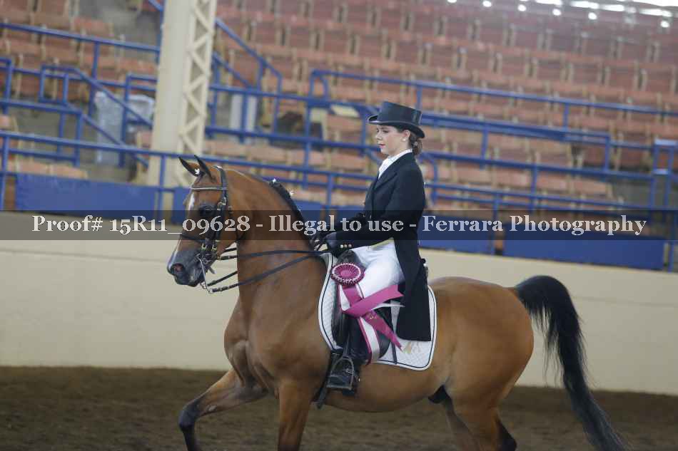 Proof 15R11_09628