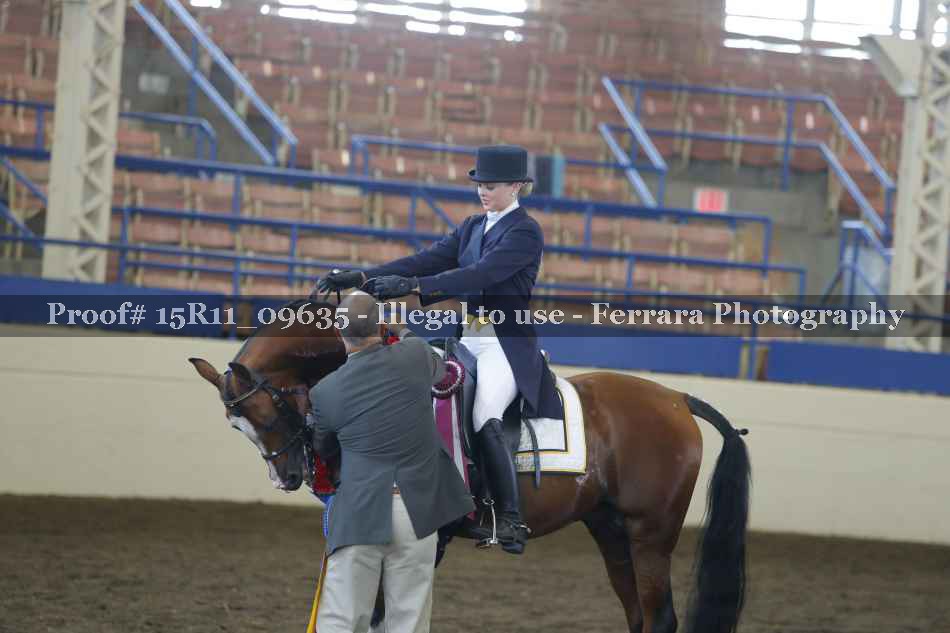 Proof 15R11_09635