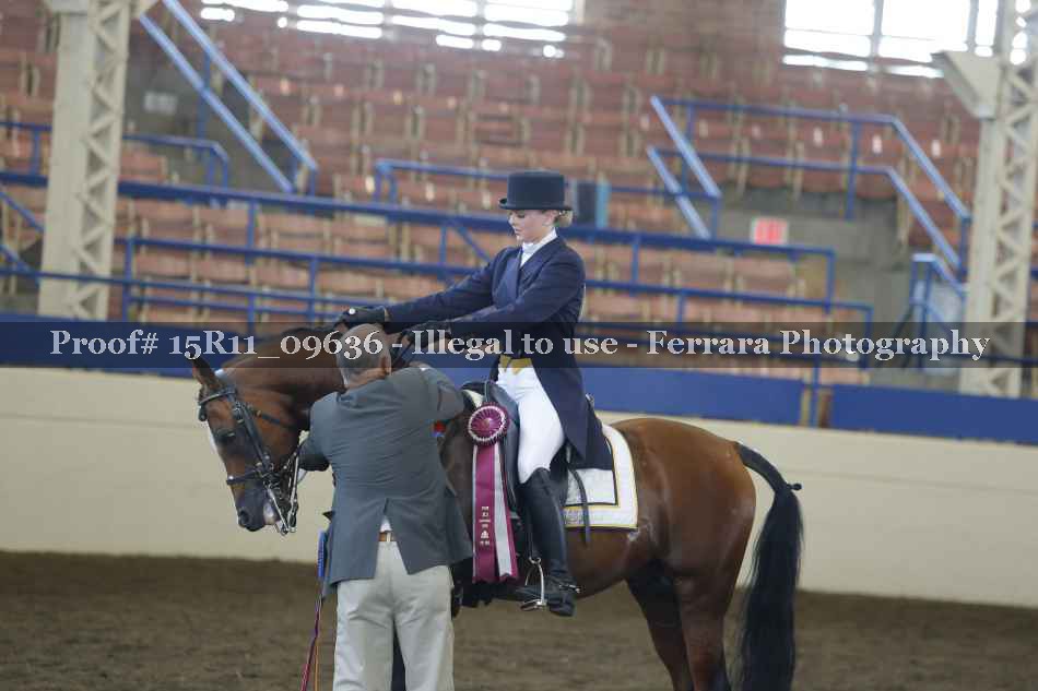 Proof 15R11_09636