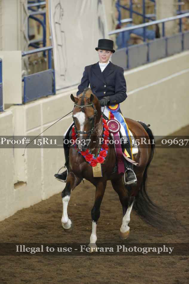 Proof 15R11_09637