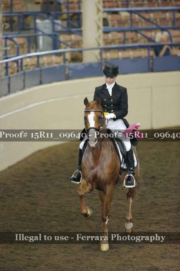 Proof 15R11_09640