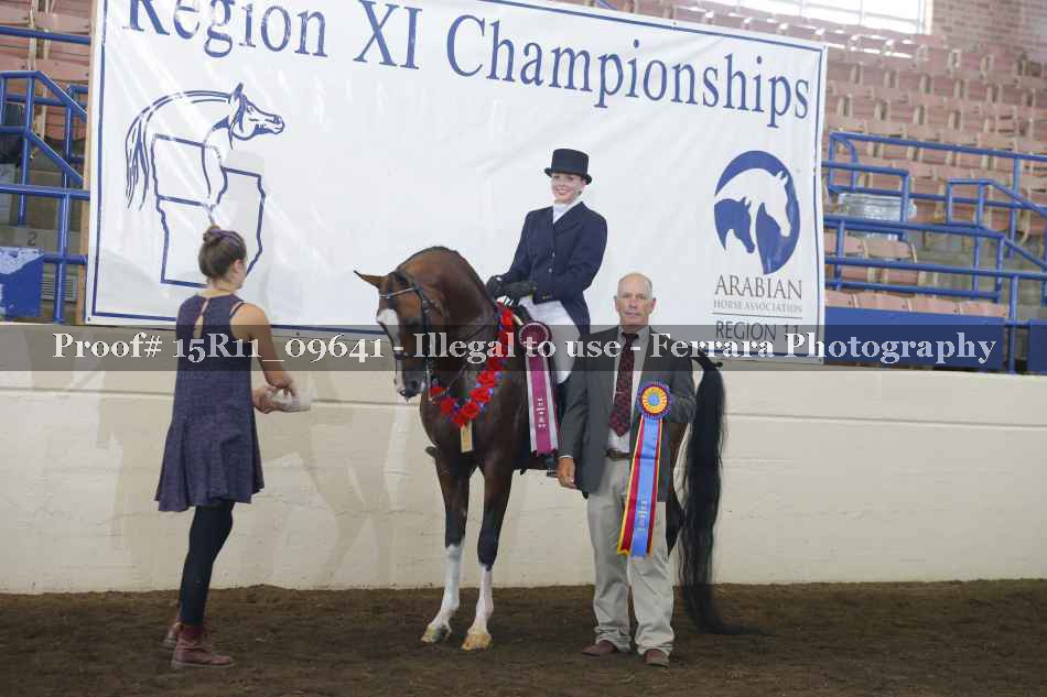 Proof 15R11_09641