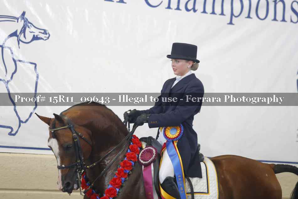 Proof 15R11_09643