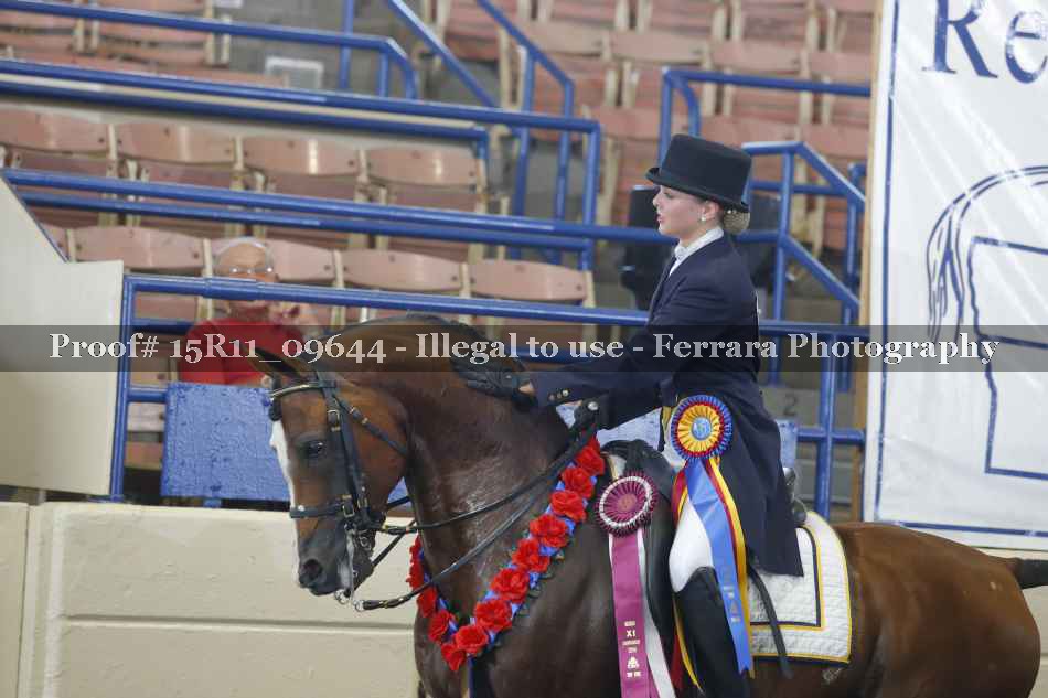 Proof 15R11_09644