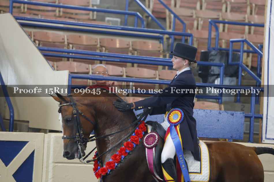 Proof 15R11_09645