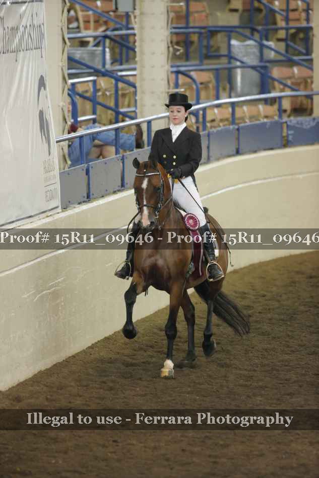 Proof 15R11_09646