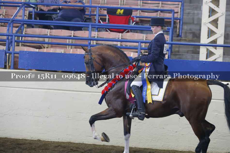 Proof 15R11_09648