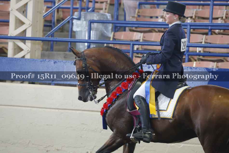 Proof 15R11_09649