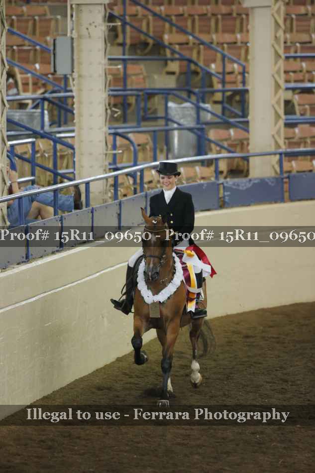Proof 15R11_09650