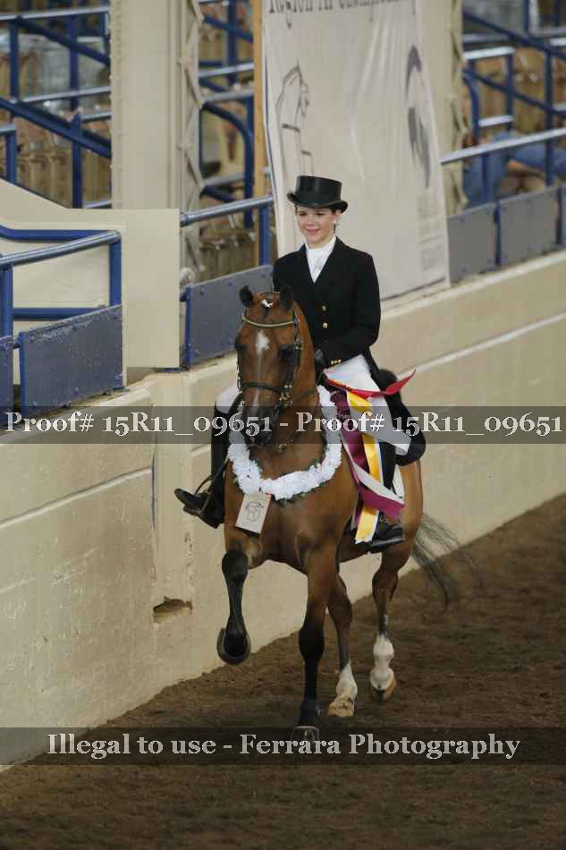 Proof 15R11_09651