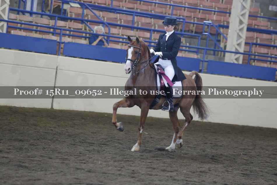 Proof 15R11_09652