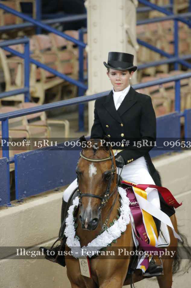 Proof 15R11_09653