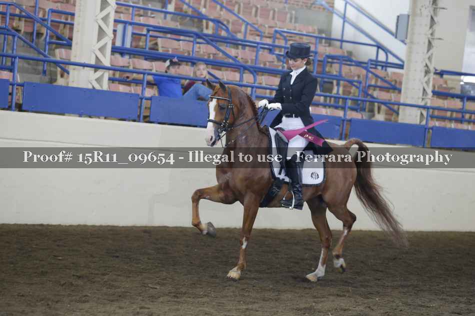 Proof 15R11_09654