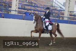 15R11_09654 proof