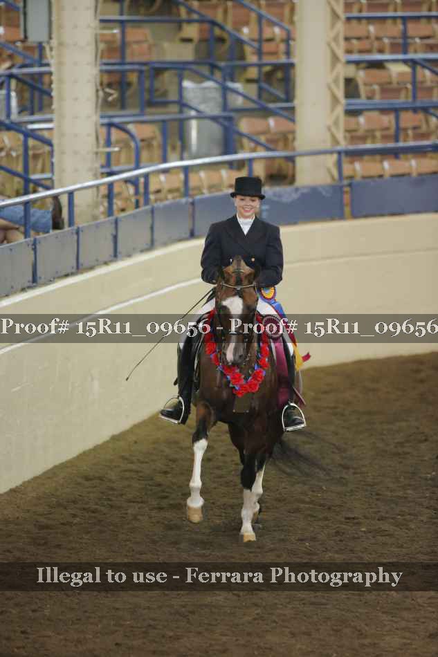 Proof 15R11_09656