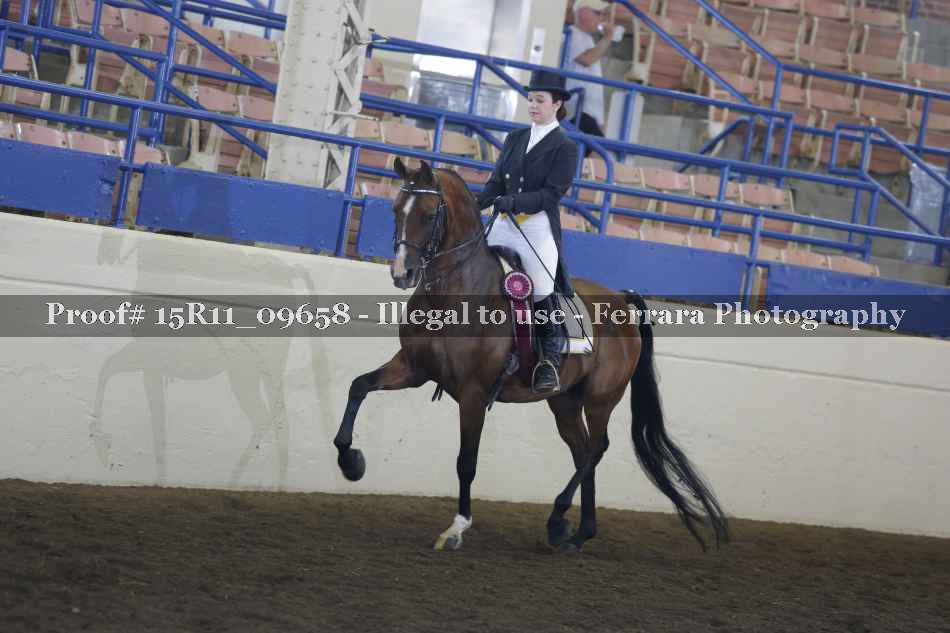 Proof 15R11_09658