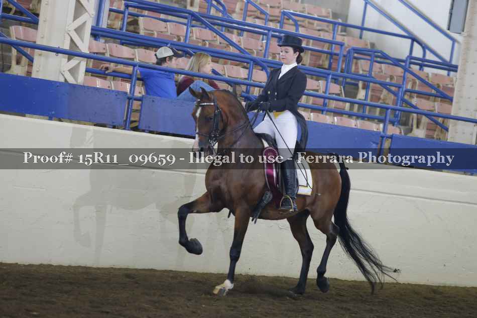Proof 15R11_09659