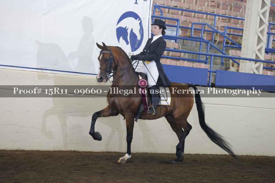 Proof 15R11_09660
