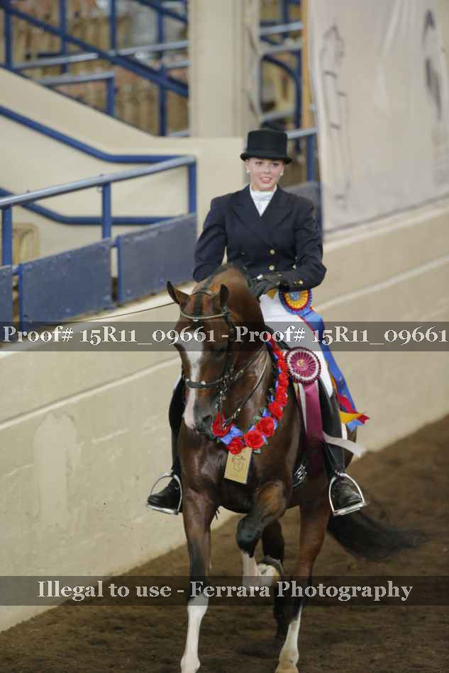 Proof 15R11_09661