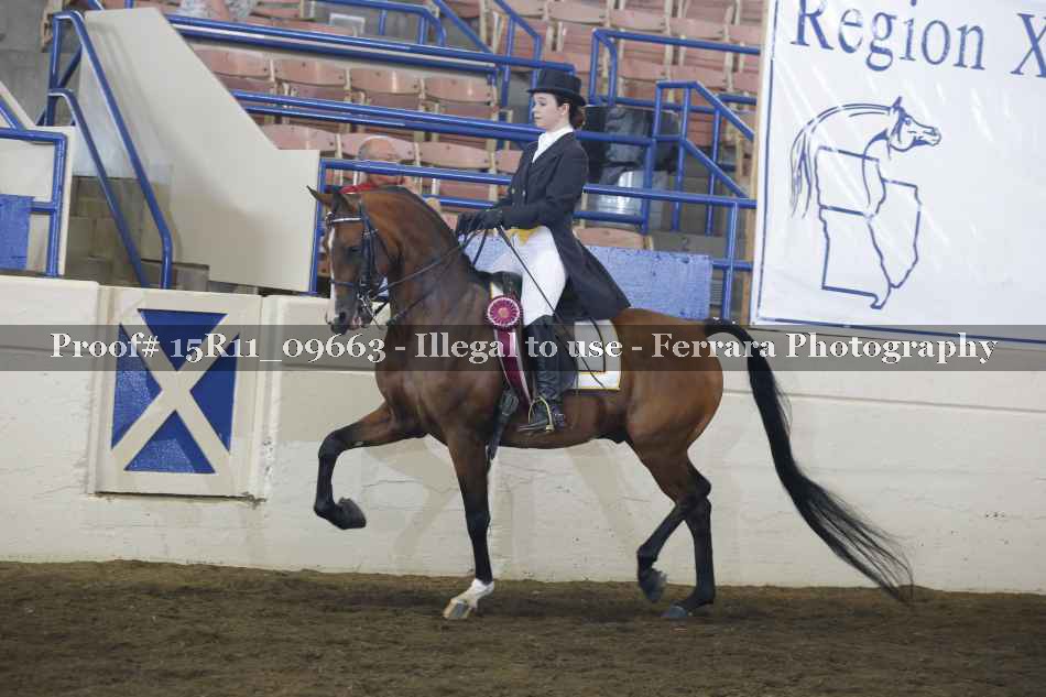 Proof 15R11_09663