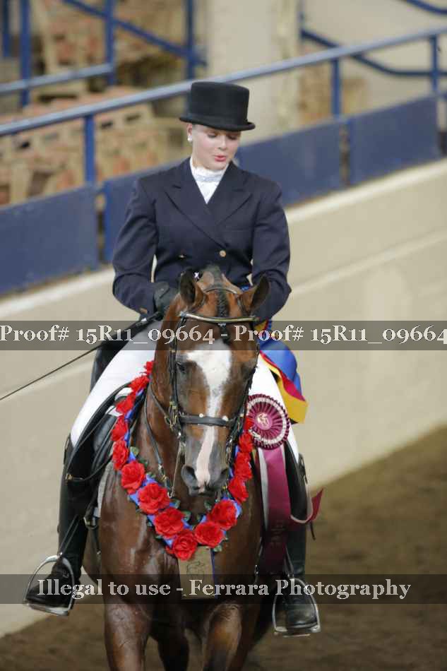 Proof 15R11_09664