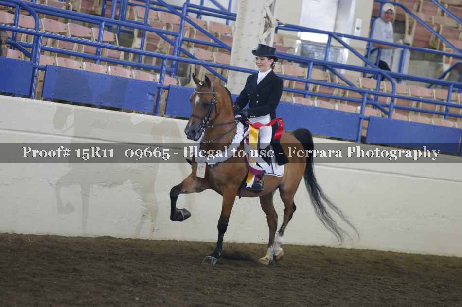 Proof 15R11_09665