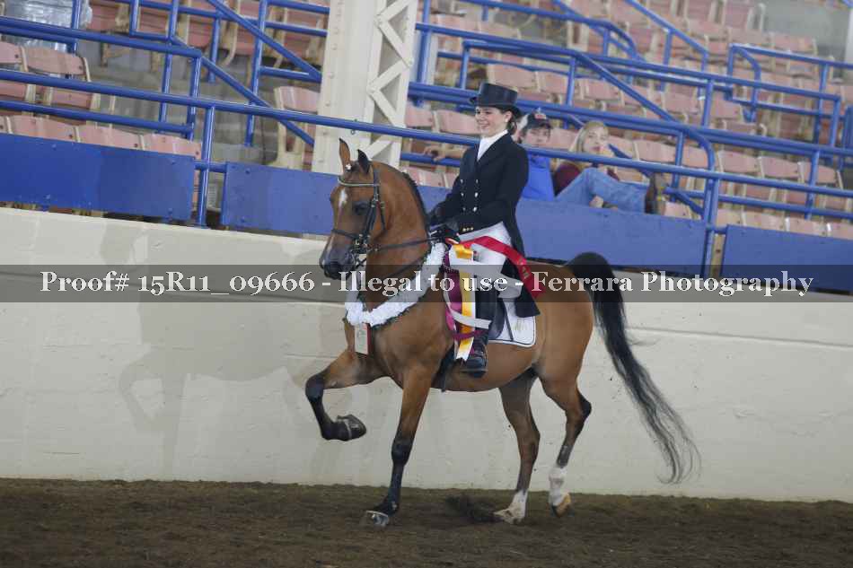 Proof 15R11_09666