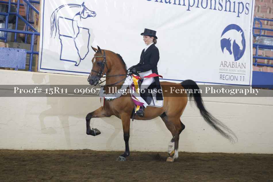 Proof 15R11_09667