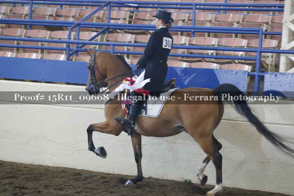 Proof 15R11_09668