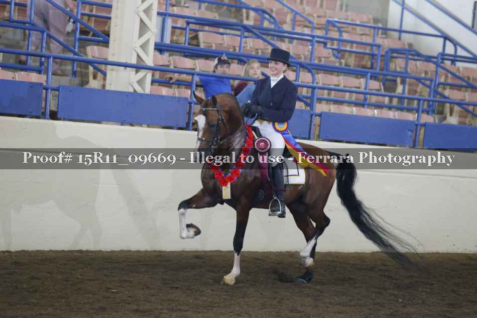 Proof 15R11_09669