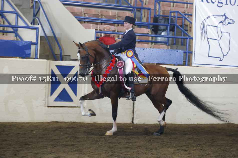 Proof 15R11_09670