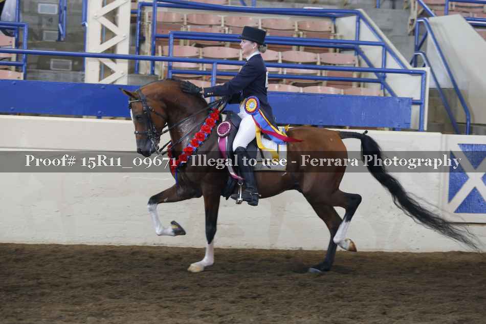 Proof 15R11_09671
