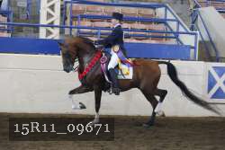 15R11_09671 proof