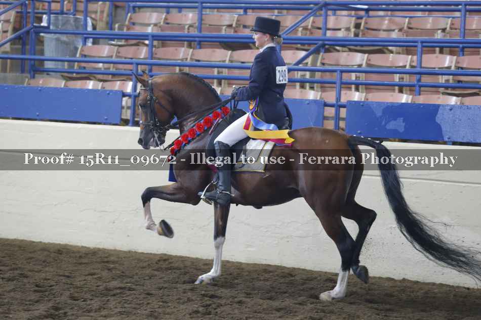 Proof 15R11_09672