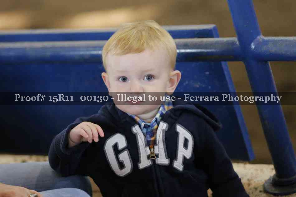 Proof 15R11_00130