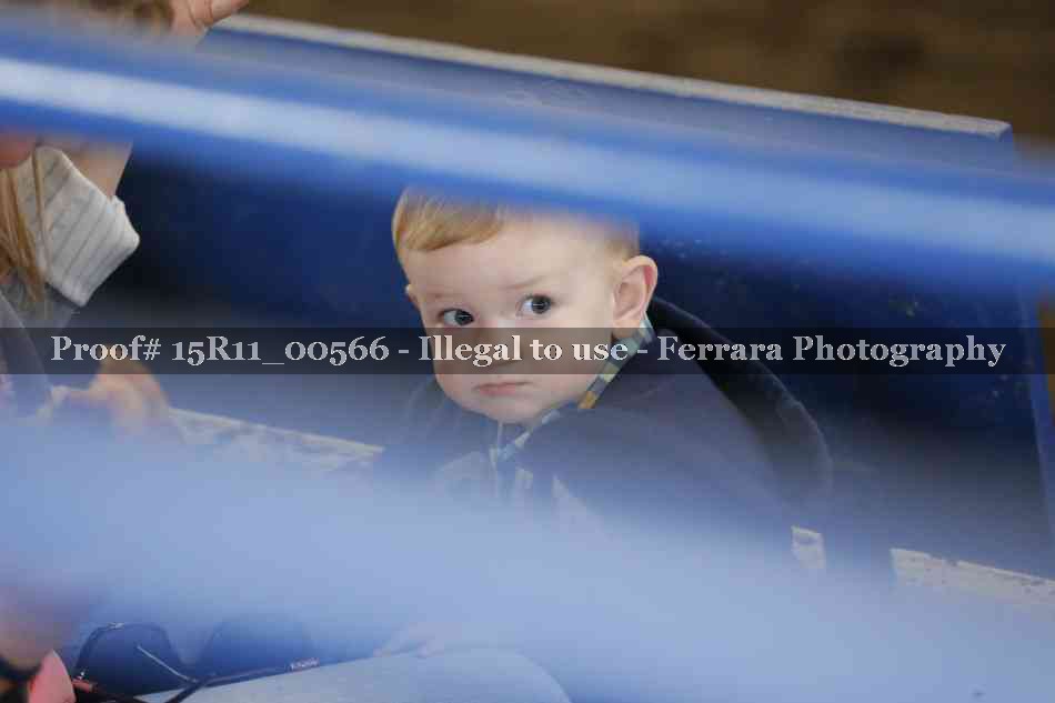 Proof 15R11_00566