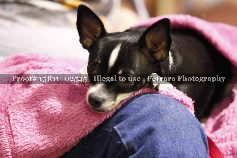 Proof 15R11_02545