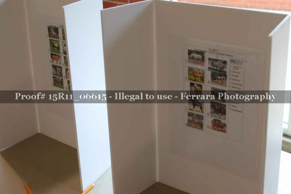 Proof 15R11_06615