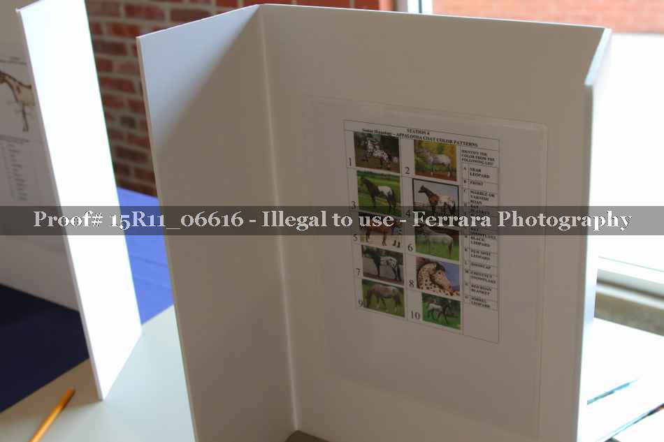 Proof 15R11_06616