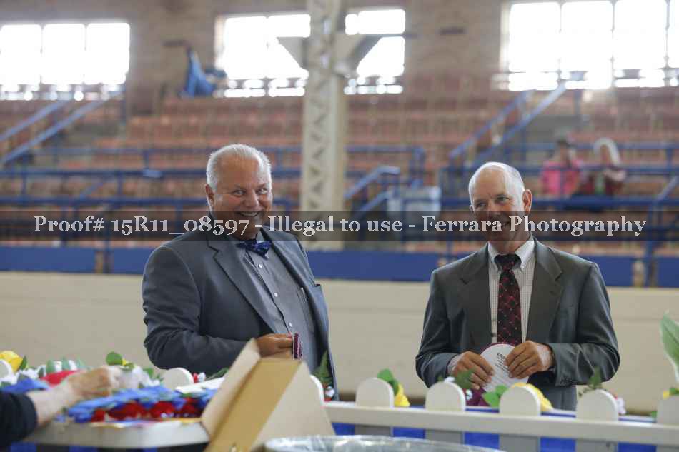 Proof 15R11_08597