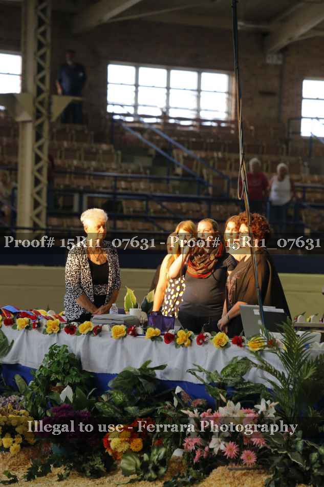 Proof 15R11_07631