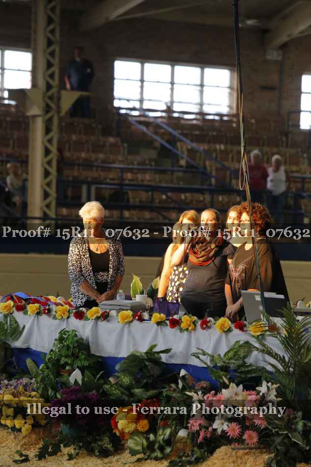 Proof 15R11_07632