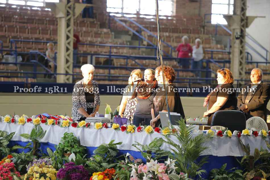 Proof 15R11_07633